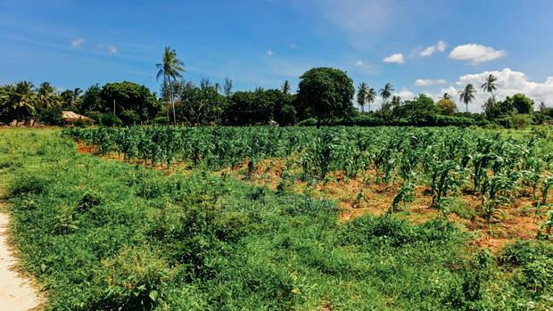 Plot for Sale