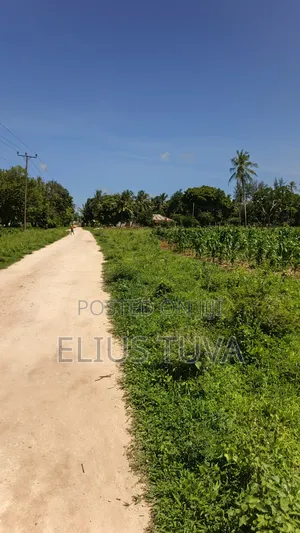 Plot for Sale
