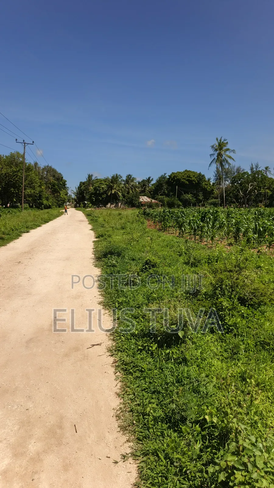 Plot for Sale