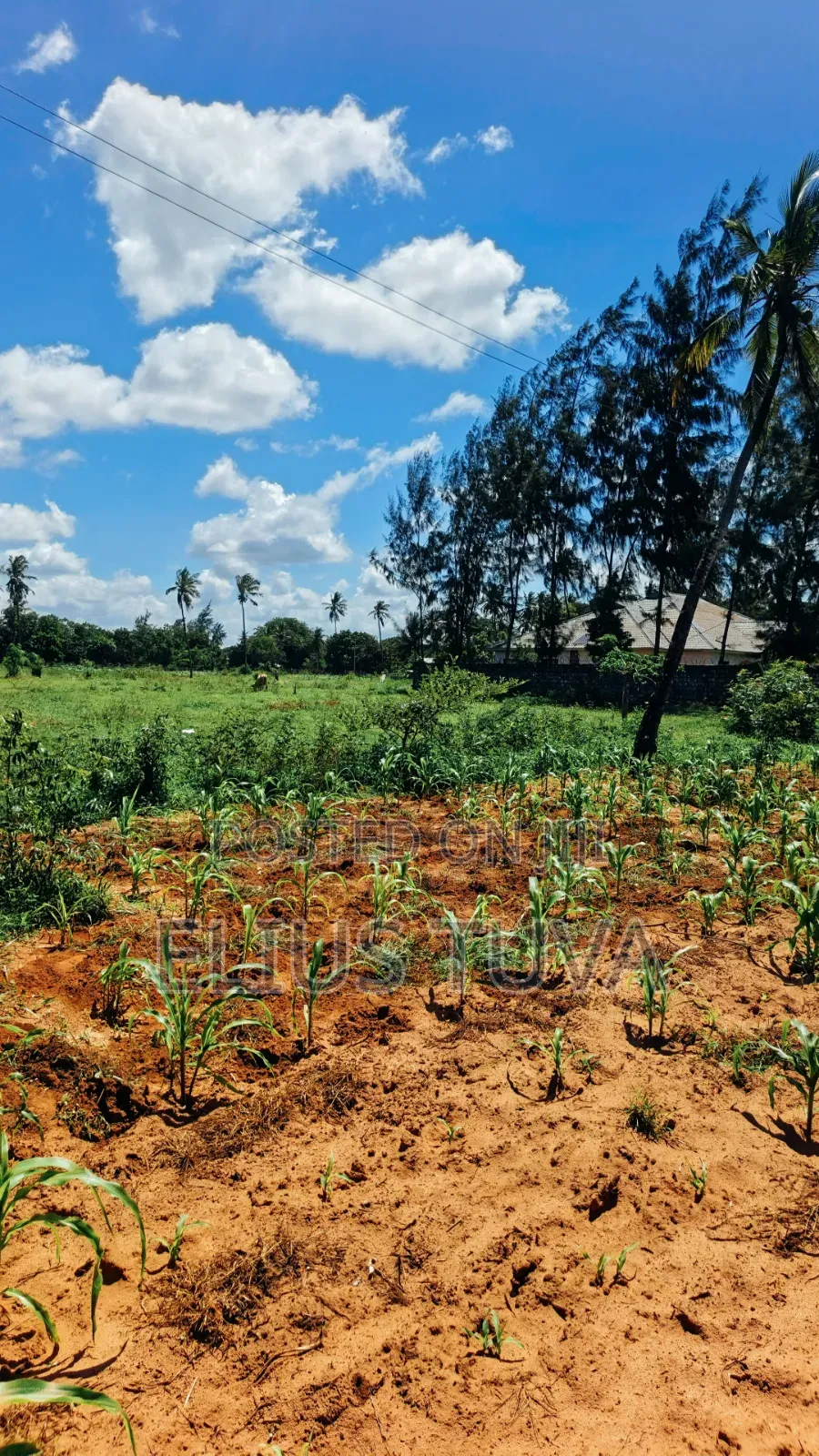 Plot for Sale