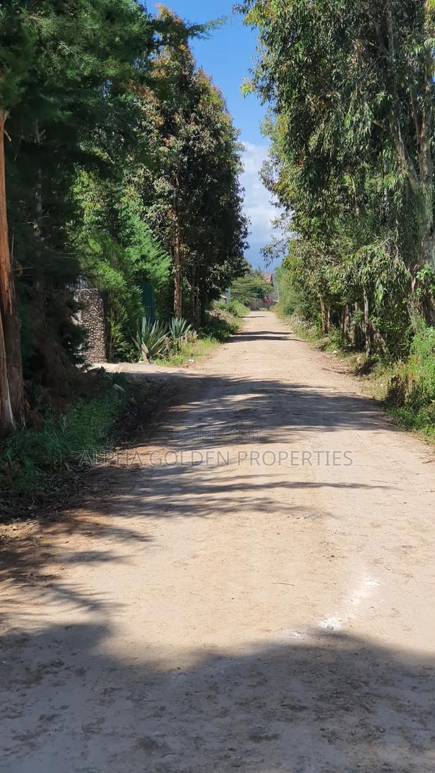 3 Acres in Nanyuki Airfield - thumbnail 2
