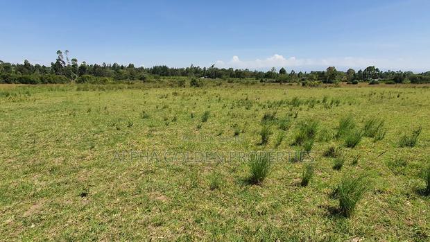 3 Acres in Nanyuki Airfield - thumbnail 3
