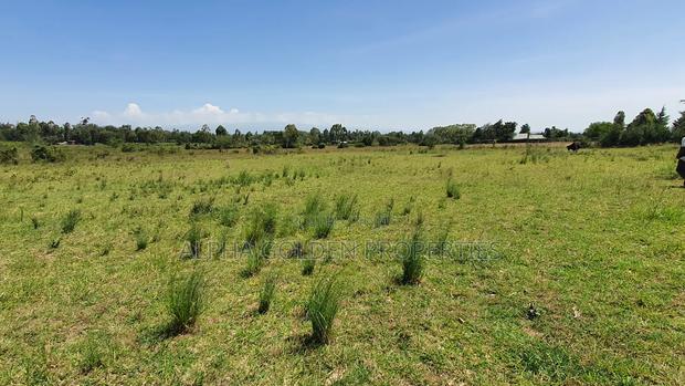 3 Acres in Nanyuki Airfield - thumbnail 4