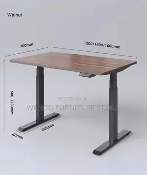 Office Desk; 1.2 Meters Ergonomic Desk With Flexible Height