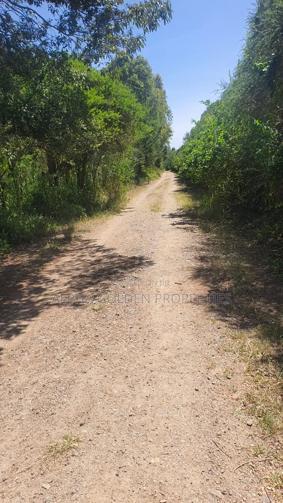 1 Acre in Airstrip Area