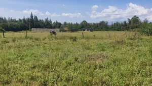 1 Acre in Airstrip Area