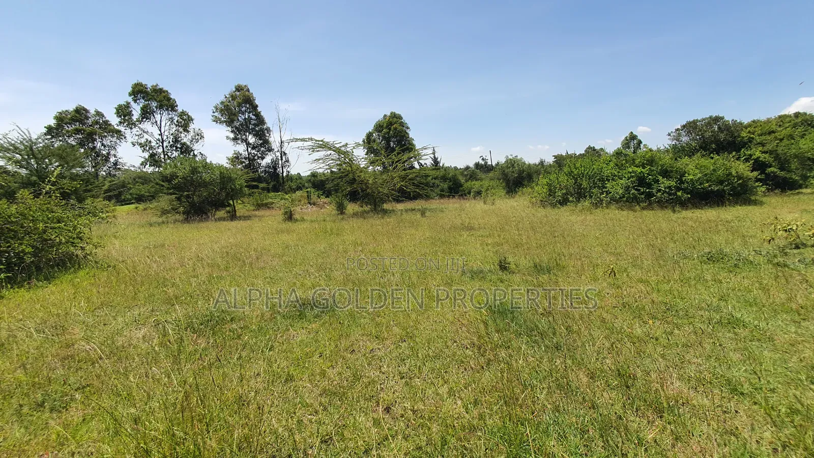 1 Acre in Airstrip Area