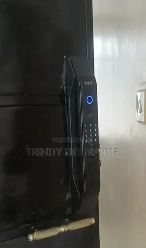 Smart Lock High Security Electronic Smart Biometric Fcae Fingerprints
