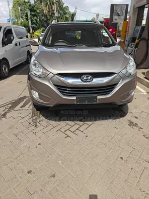 Hyundai Tucson 2013 Gray