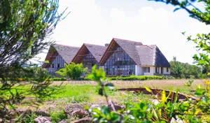 Property Real Estate