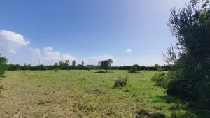 2 Acres Near Olpajeta
