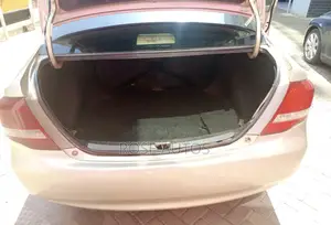 Toyota Axio 2010 Gray