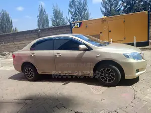 Toyota Axio 2010 Gray