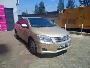 Toyota Axio 2010 Gray