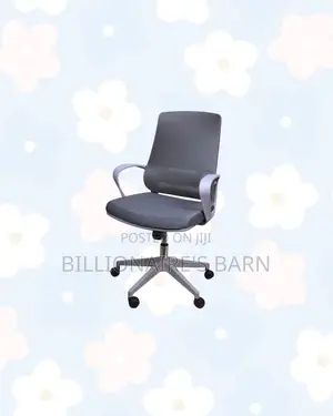 Comfortable Ergonomic Mesh Chair Mid Back Lumbar Support Kenya Wide