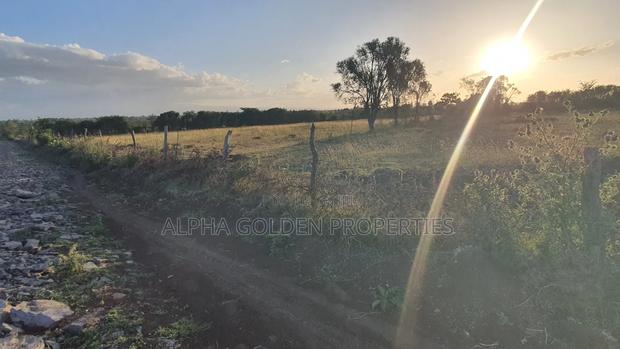 2 Acres in Ngarichia - thumbnail 4