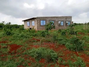 Ocean View Paradise