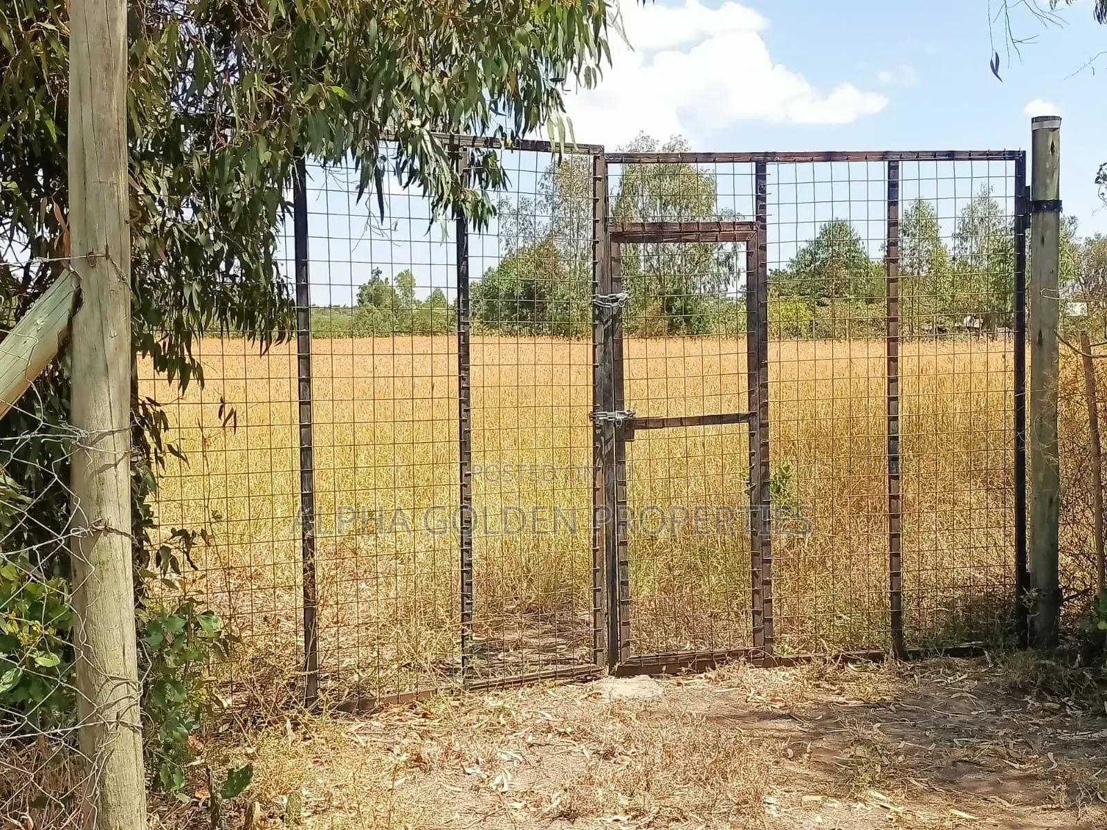 3.5 Acres on Sale Nanyuki [ Mirera ]