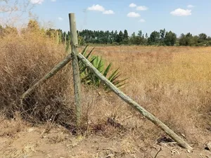 3.5 Acres on Sale Nanyuki [ Mirera ]
