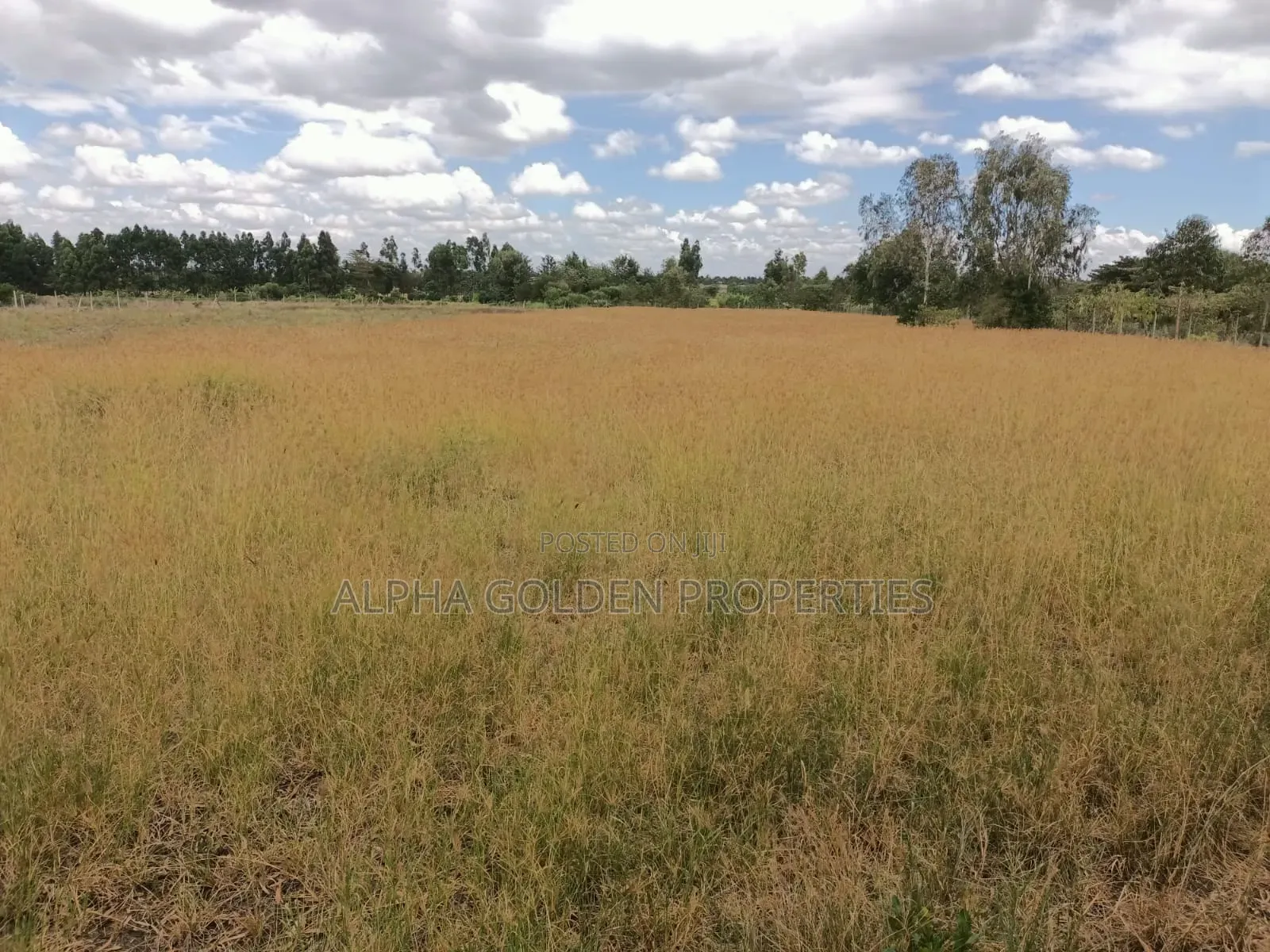 3.5 Acres on Sale Nanyuki [ Mirera ]