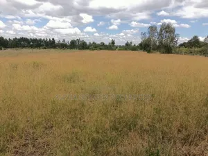 3.5 Acres on Sale Nanyuki [ Mirera ]
