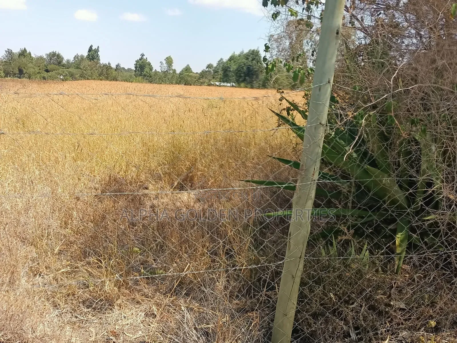 3.5 Acres on Sale Nanyuki [ Mirera ]