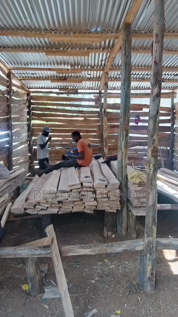 Quality Timber/Wood for Sale - thumbnail 2