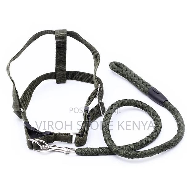 Dog Leash and Harness