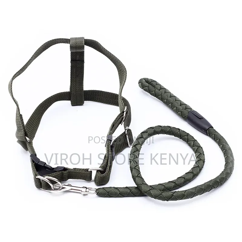 Dog Leash and Harness