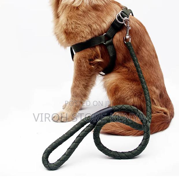 New Dog Leash and Harness for Strong Dogs