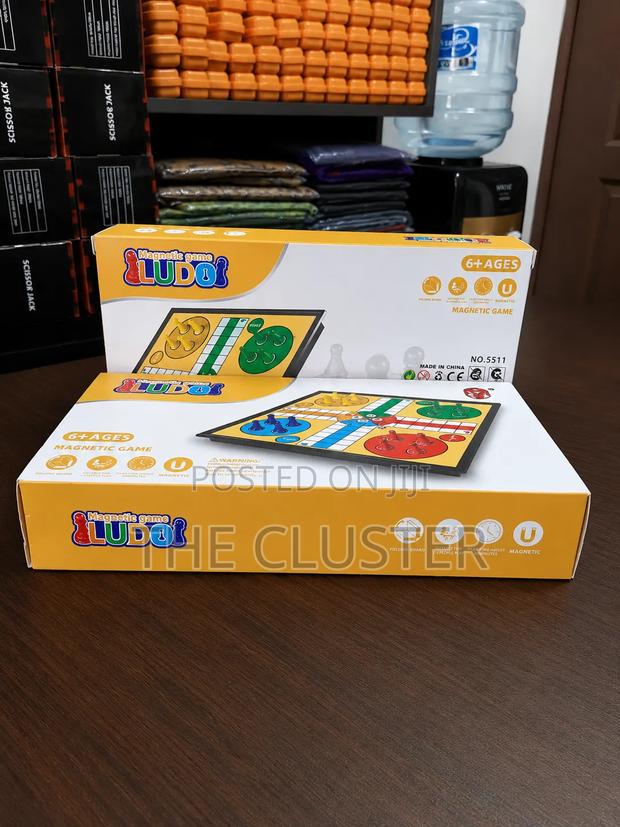 Magnetic Ludo