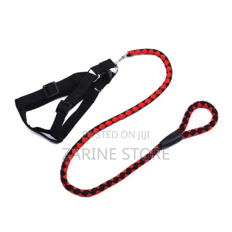 Dog Leash and Harness Dog Chain