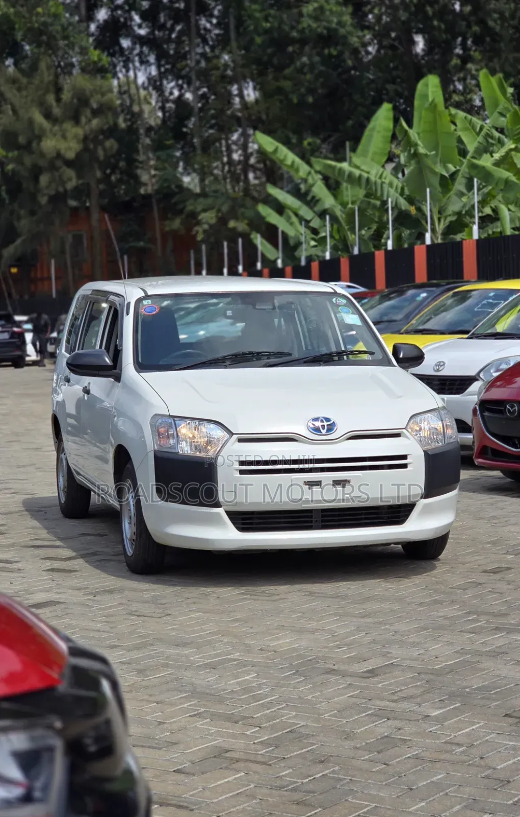 Toyota Succeed 2019 White