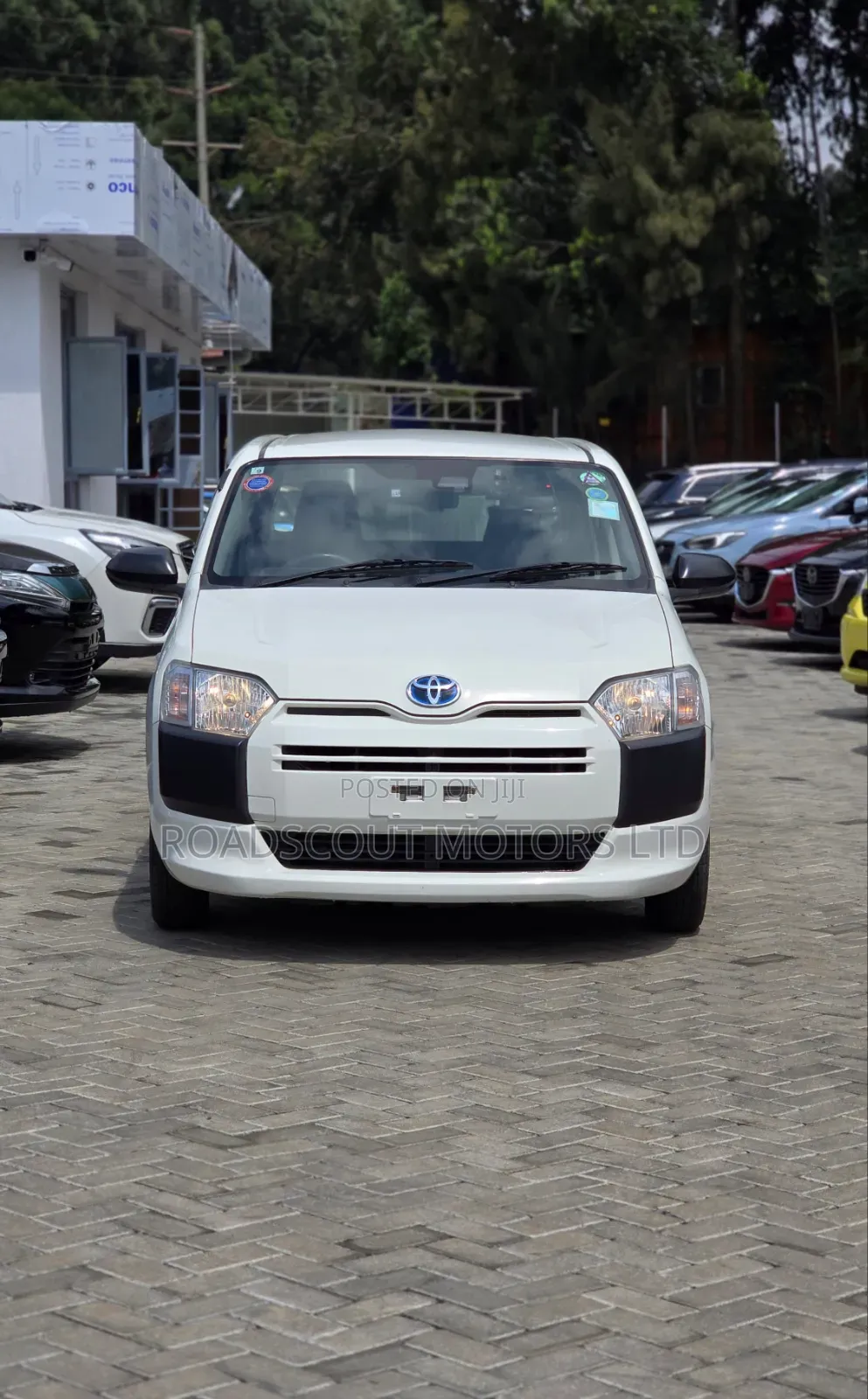 Toyota Succeed 2019 White