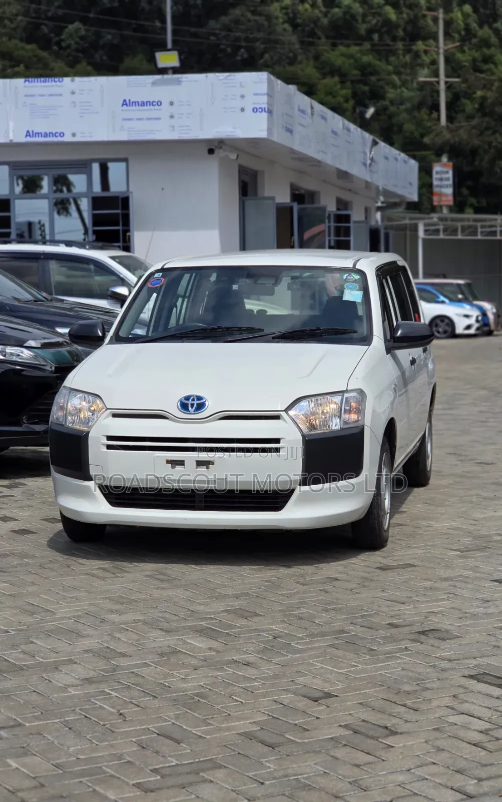 Toyota Succeed 2019 White