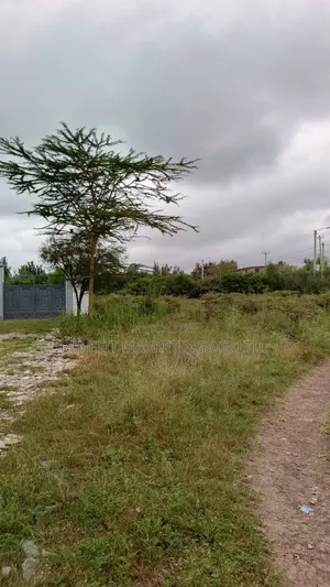 Quarter Acre Plots for Sale in Kitengela Milimani