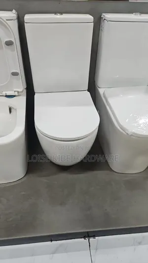 Modern Toilet Available