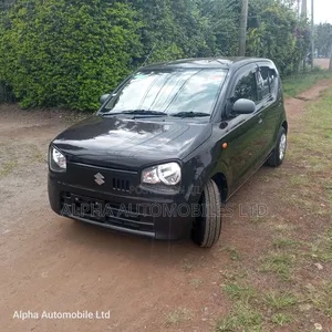 Suzuki Alto 660cc AWD 2019 Brown