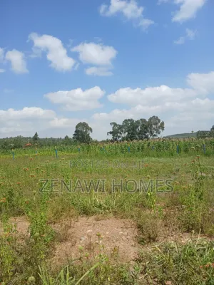 Kikuyu,Kamangu Mm