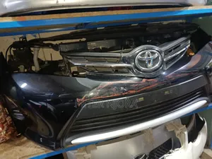 Auris 2014 Nosecut Non Zenon