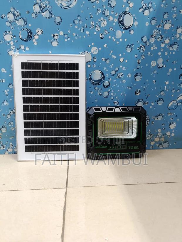 Affordable 60 Watts Tg Solar Floodlight