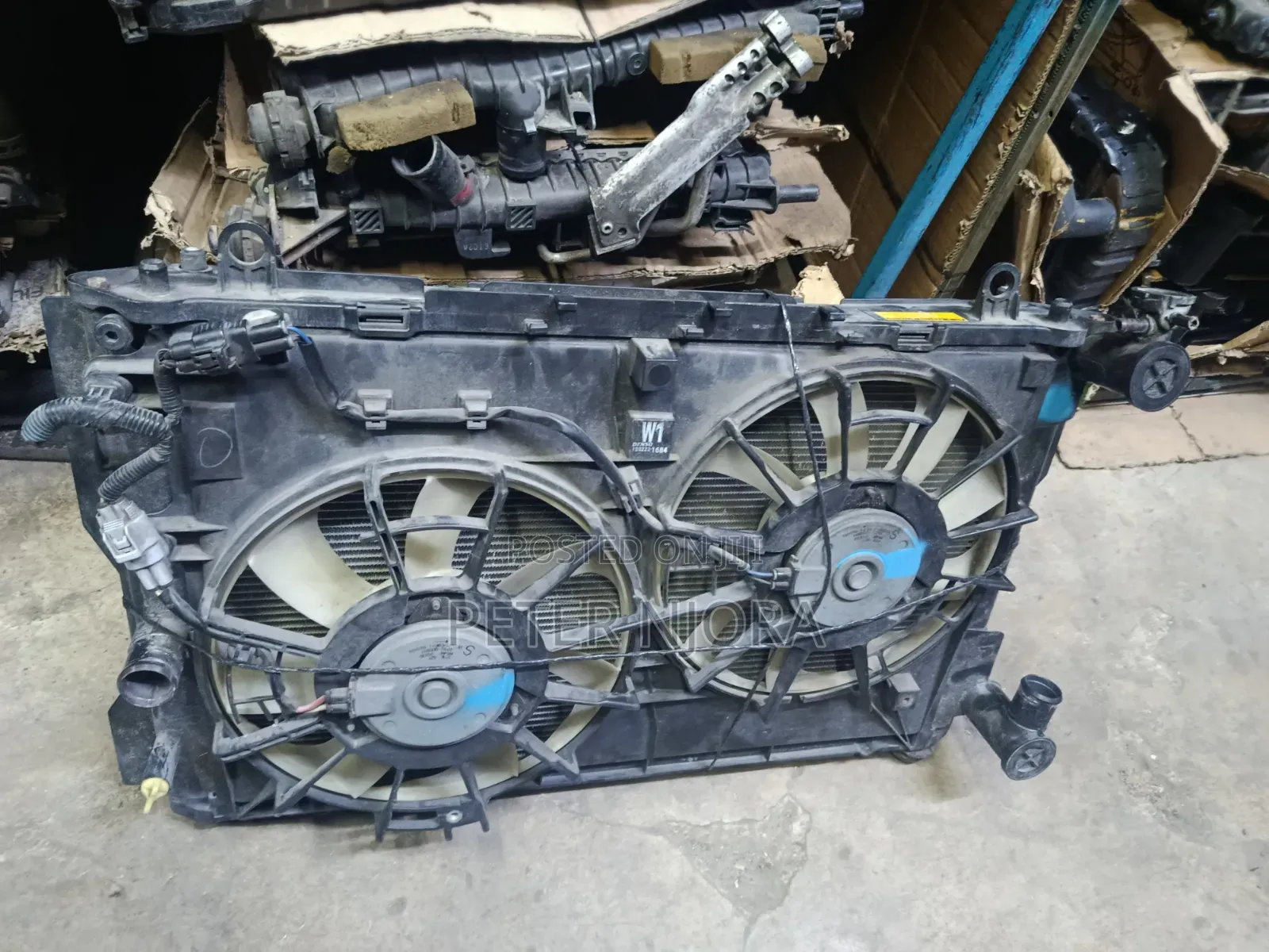 Wish New Model Radiator Complete