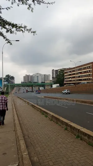 Pangani -Prime Plot 1/2 Acre Touching Thika Road,Corner Plot
