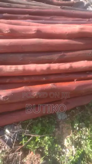 Idc Redsida Poles