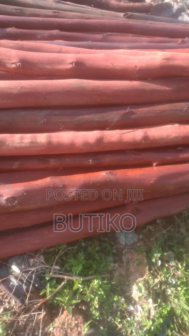 Idc Redsida Poles - main view