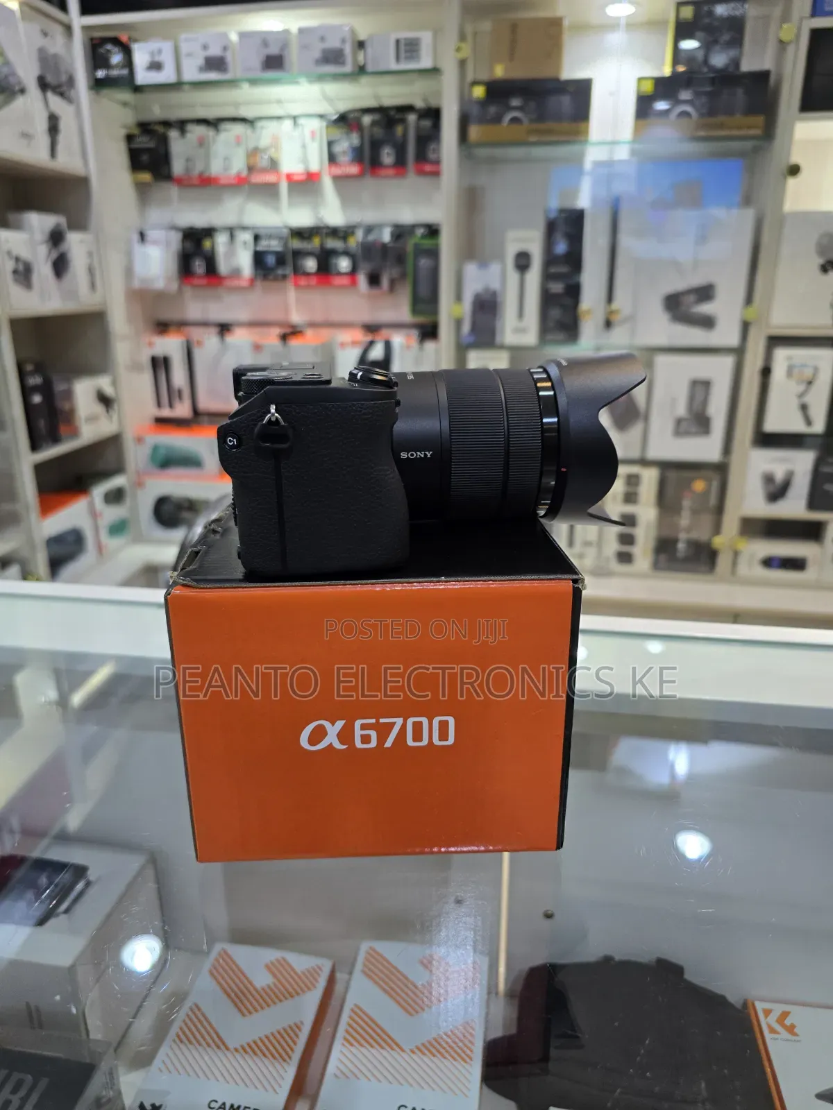 Sony A6700 Mirrorless Camera With 18-135mm Lens