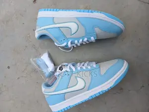 Nike Dunk Low Worn Blue
