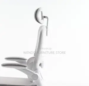 Office Chairs; Orthopedic High Back Lemare Executive Office Chairs