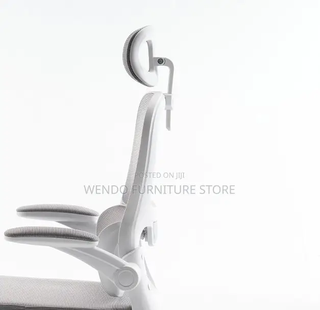 Office Chairs; Orthopedic High Back Lemare Executive Office Chairs