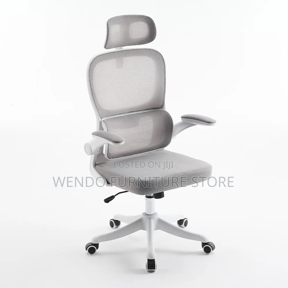 Office Chairs; Orthopedic High Back Lemare Executive Office Chairs
